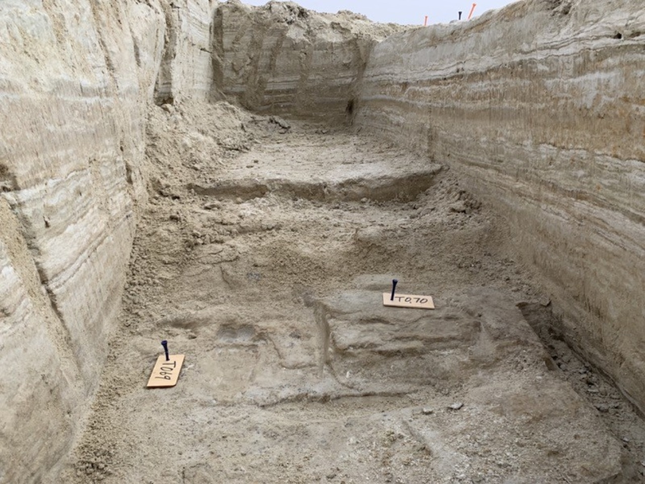 Ser humano en América: descubren huellas de hace 23 mil años