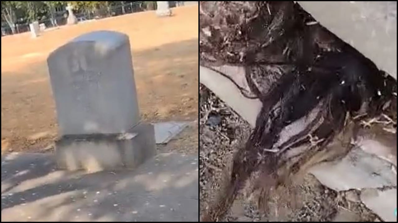 Hombre encuentra cabello humano saliendo de una tumba en Estados Unidos