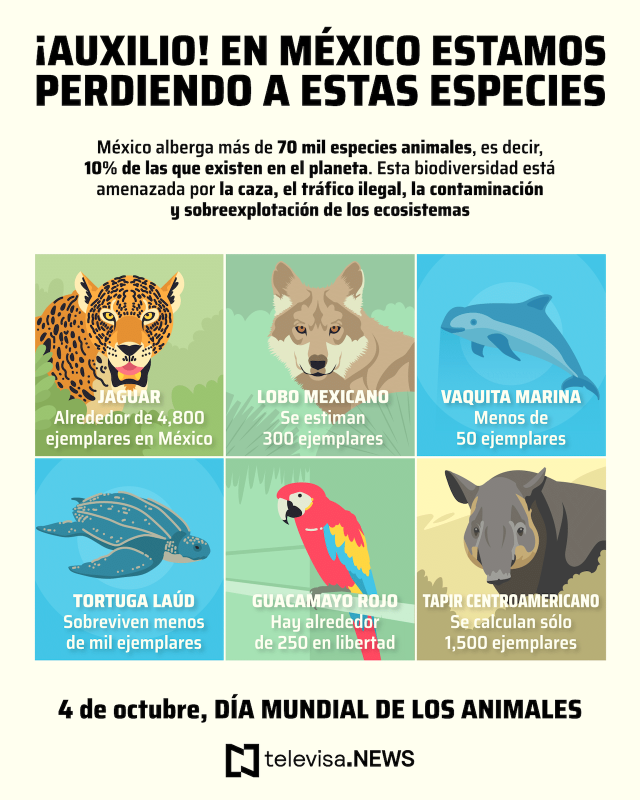 Animales peligro de extinción infografía