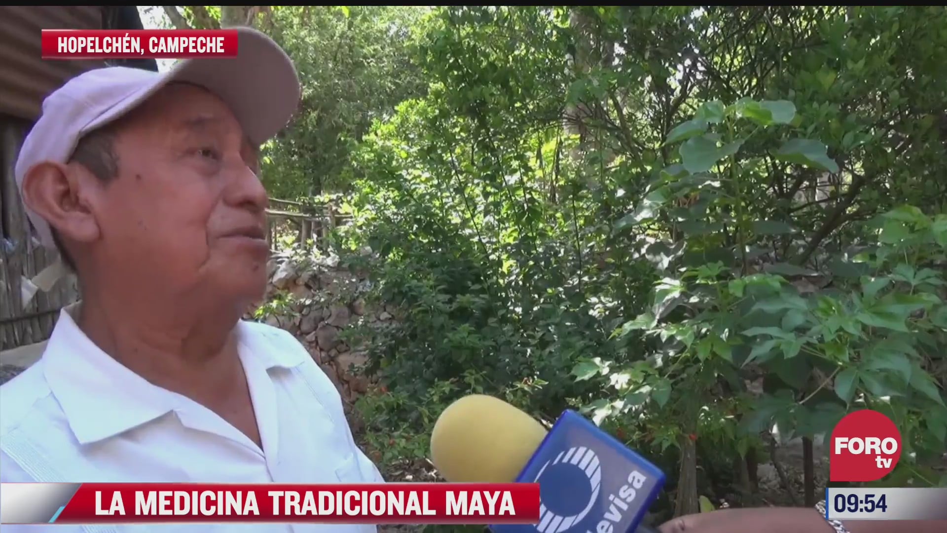la medicina tradicional maya