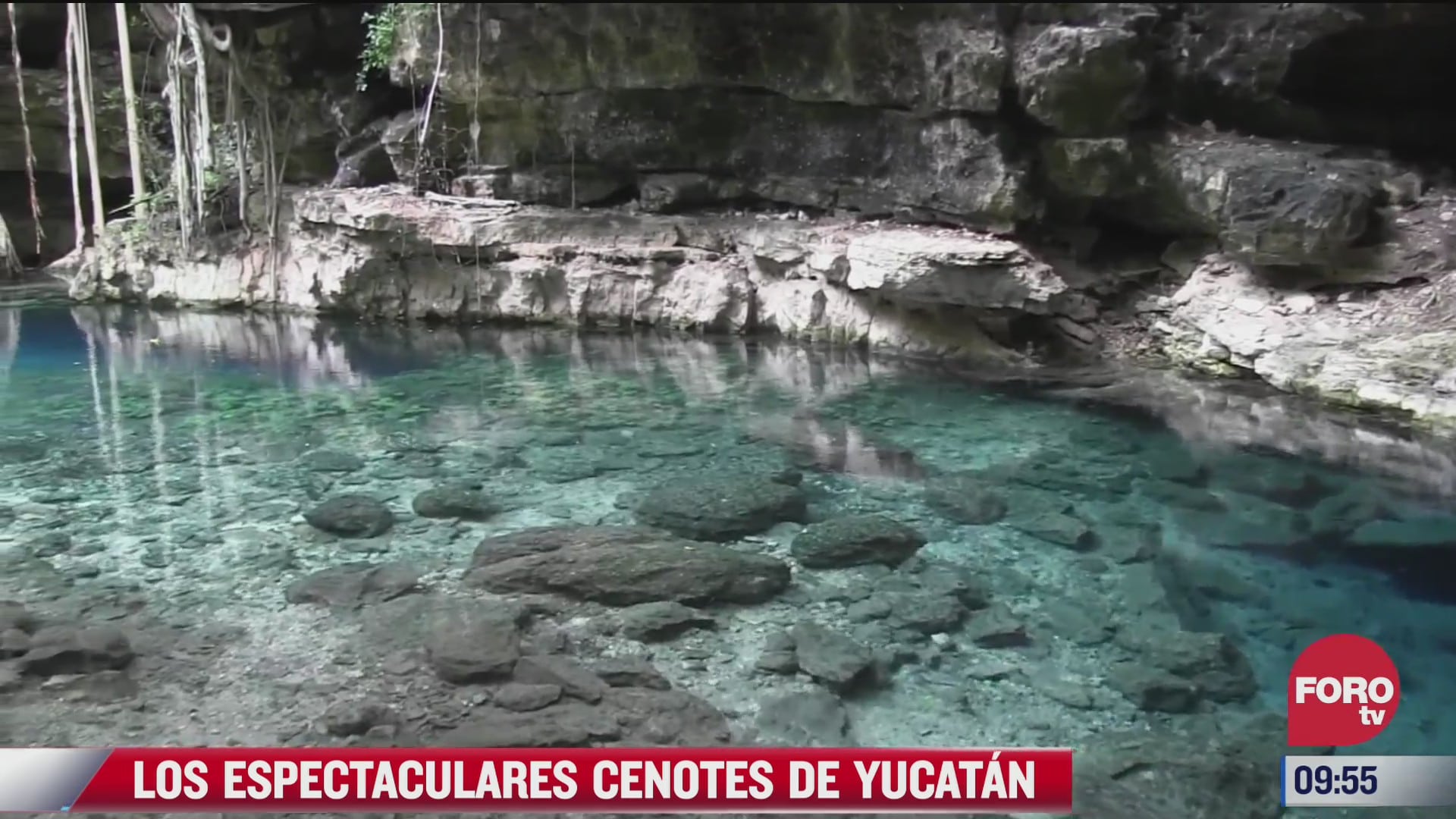 los espectaculares cenotes en yucatan