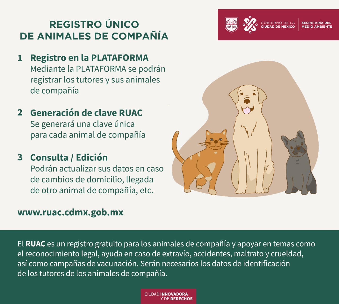 RUAC, mascotas, animales, perros, registro, CDMX