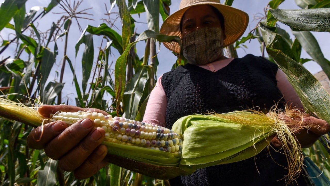 México promoverá sistema agroalimentario justo