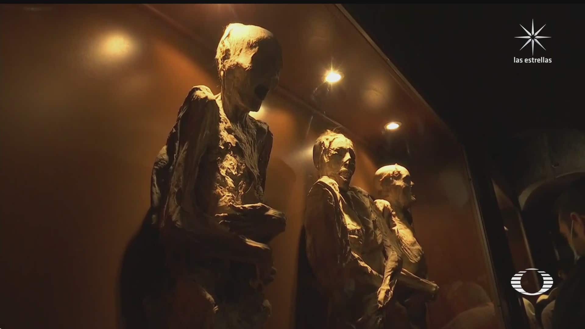 polemica por posible nuevo museo para las momias de guanajuato