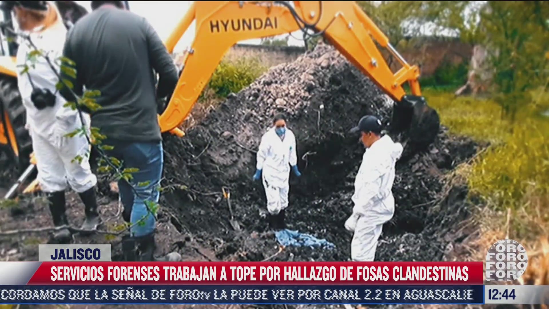 servicios forenses trabajan a tope por hallazgo de fosas clandestinas en jalisco