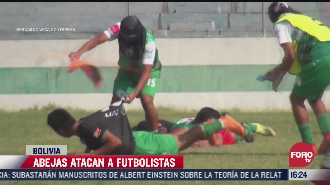 video abejas atacan a futbolistas en bolivia