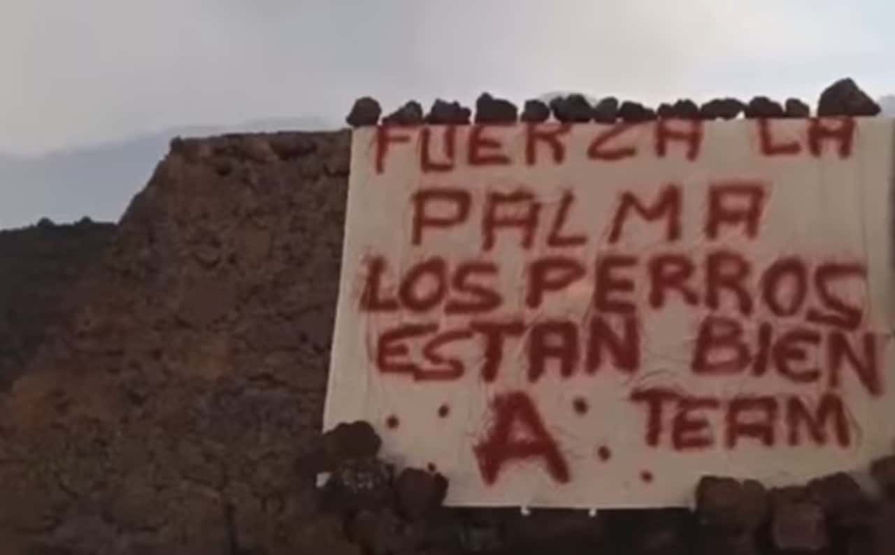 El rescate de unos perros atrapados en erupción de La Palma