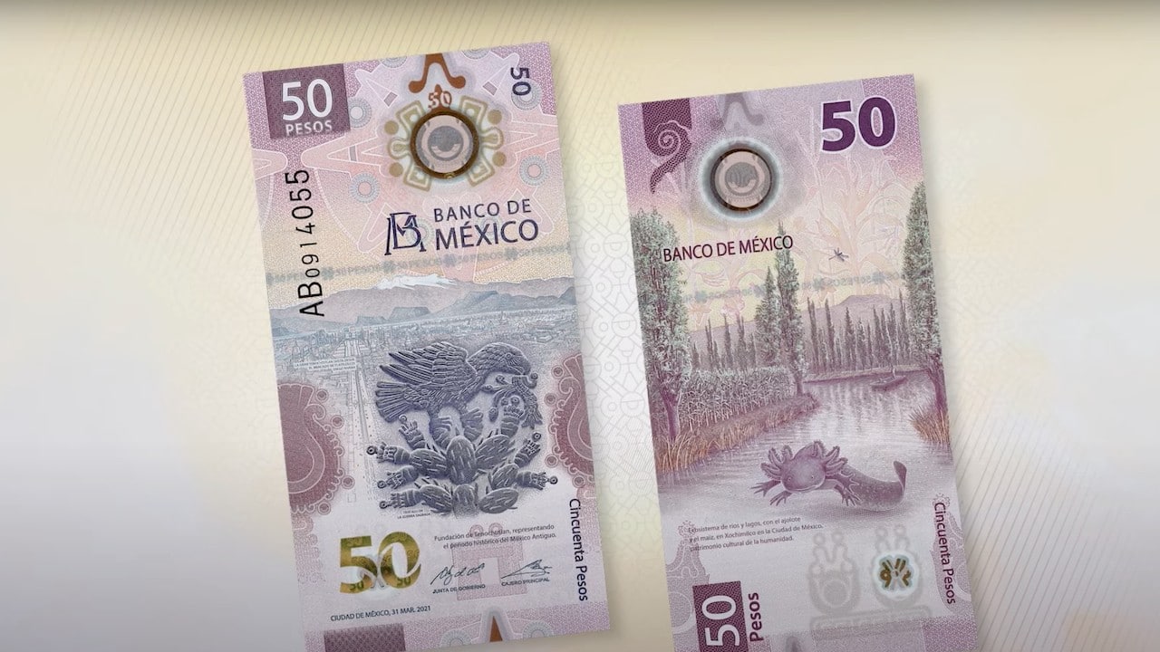 Nuevo billete de 50 pesos (Banxico)