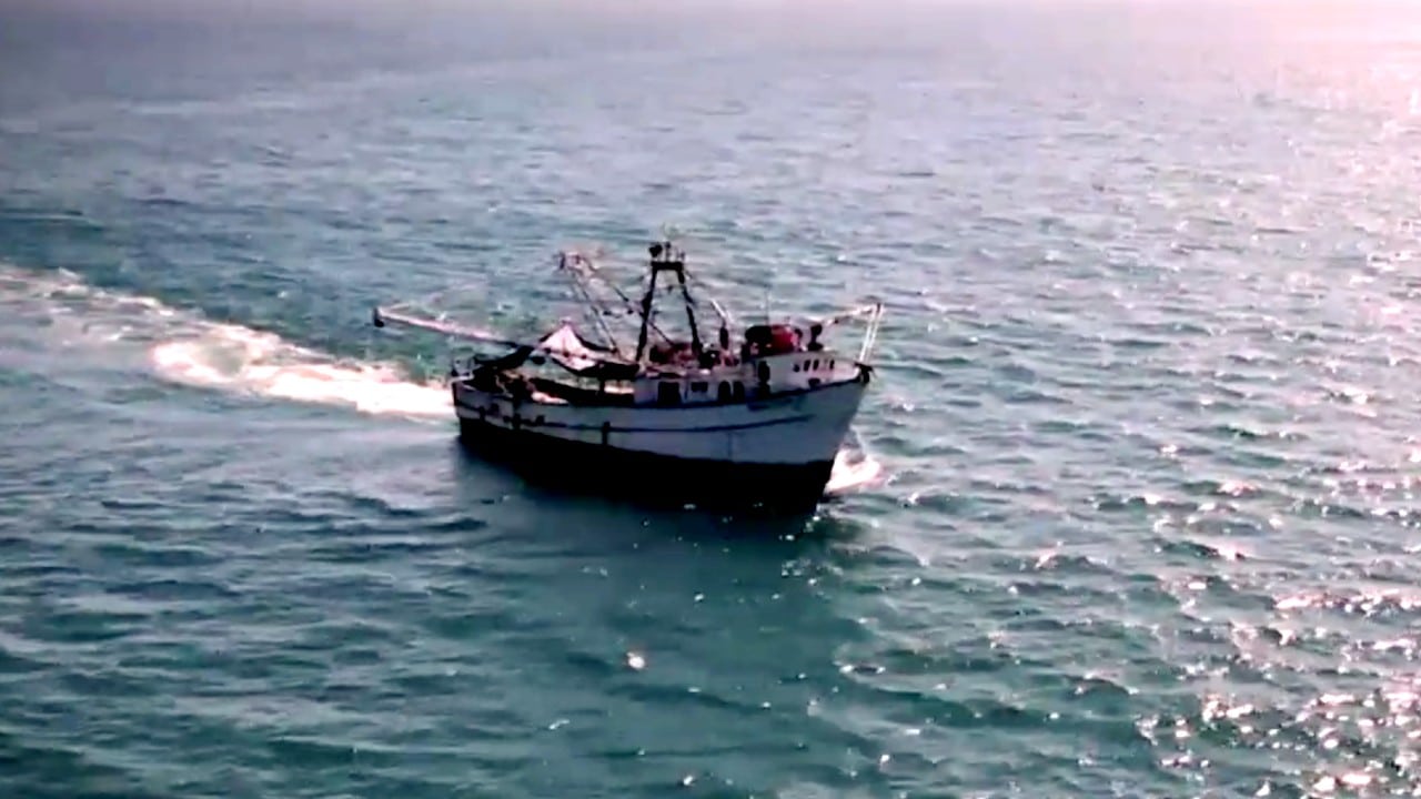 Pesca ilegal deja a la deriva a barcos camaroneros en Mazatlán, Sinaloa