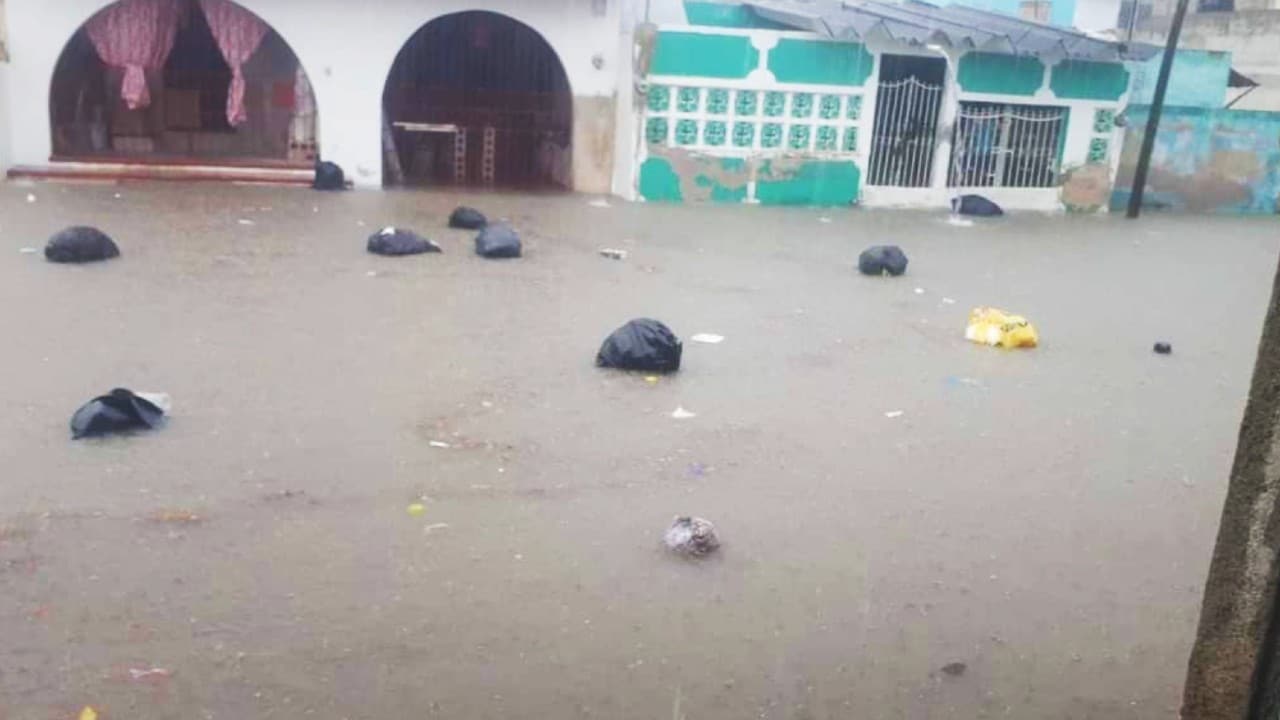 En Campeche, lluvias dejan inundaciones, caída de árboles y afectaciones en 50 colonias