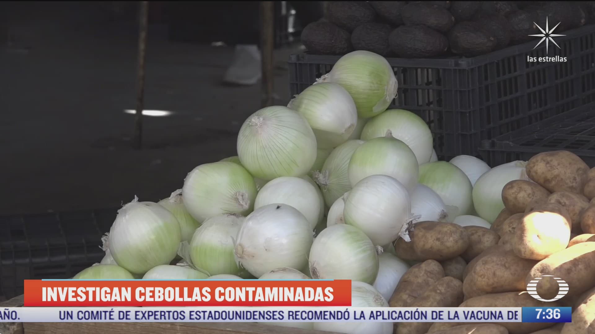 eeuu retira del mercado toneladas de cebollas exportadas de chihuahua