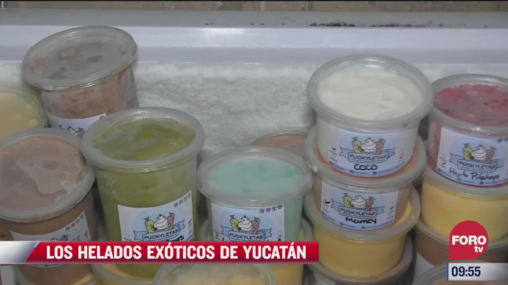 los helados exoticos de yucatan