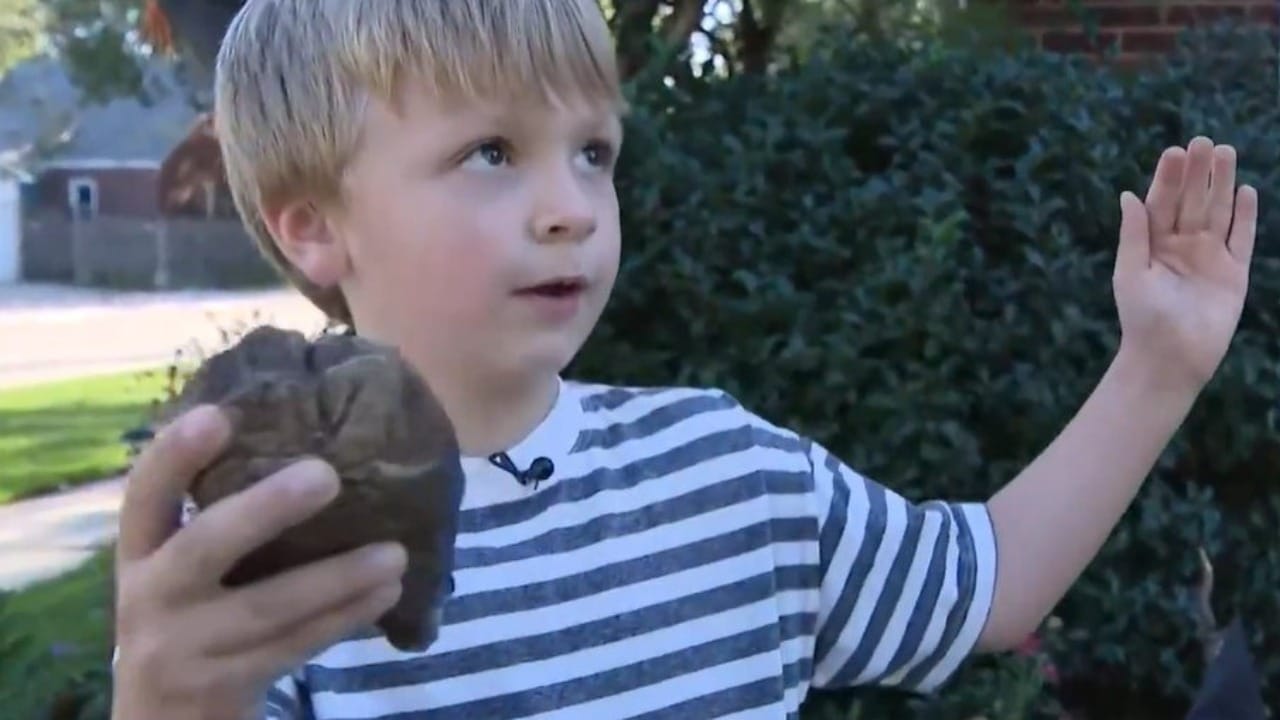 Julian Gagnon niño que descubrió el diente de mastodonte