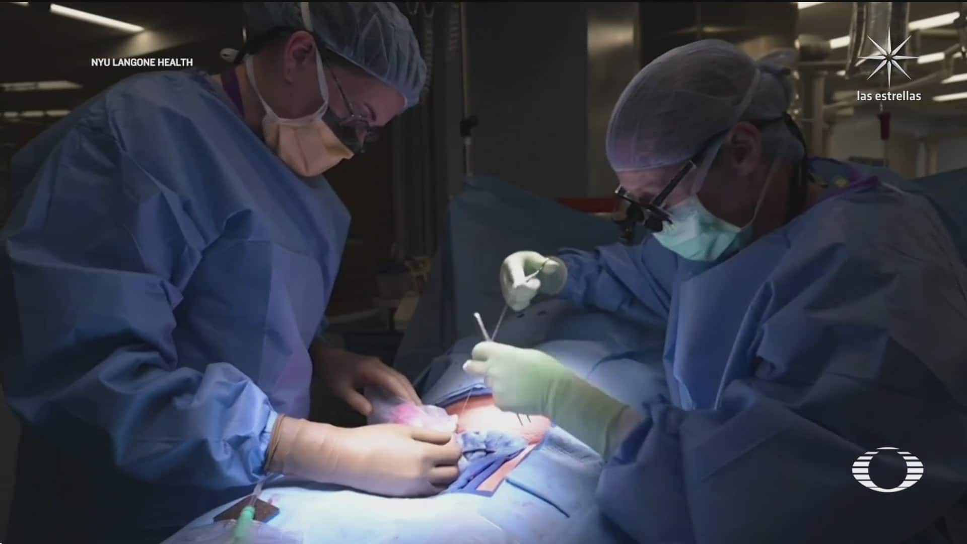 realizan primer trasplante de rinon de cerdo a humano