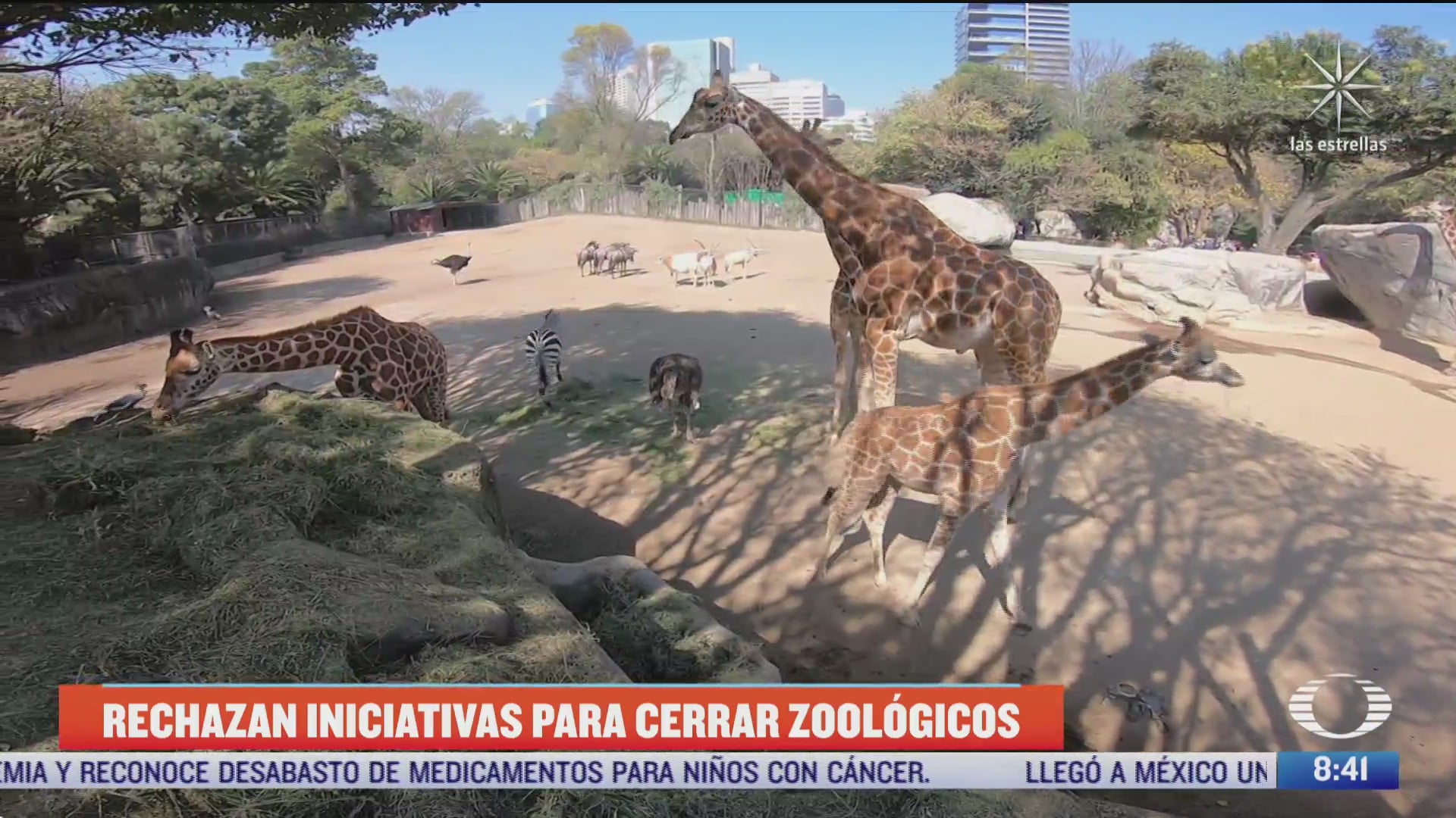 rechazan iniciativas para cerrar zoologicos en mexico