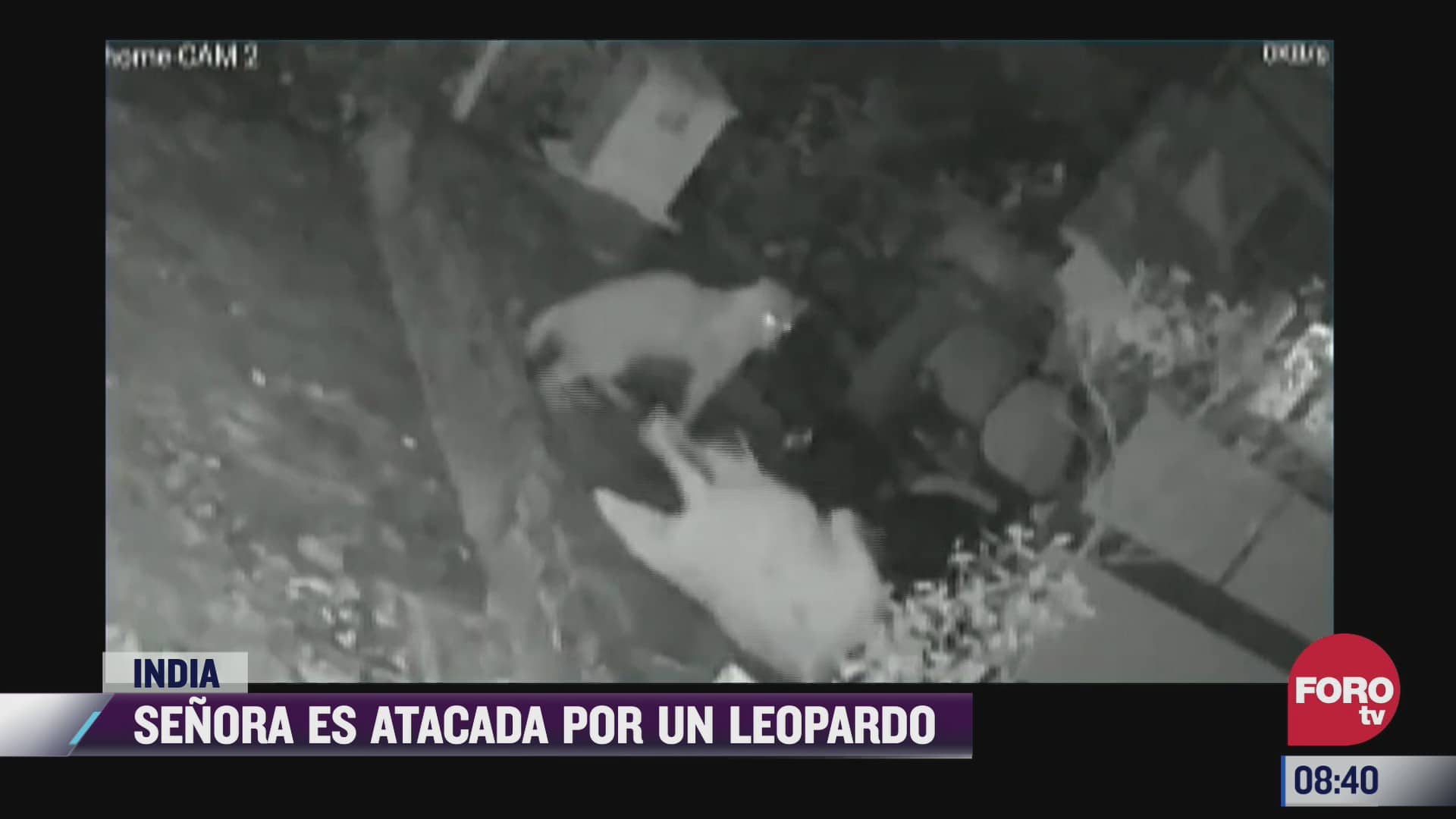 video senora es atacada por un leopardo