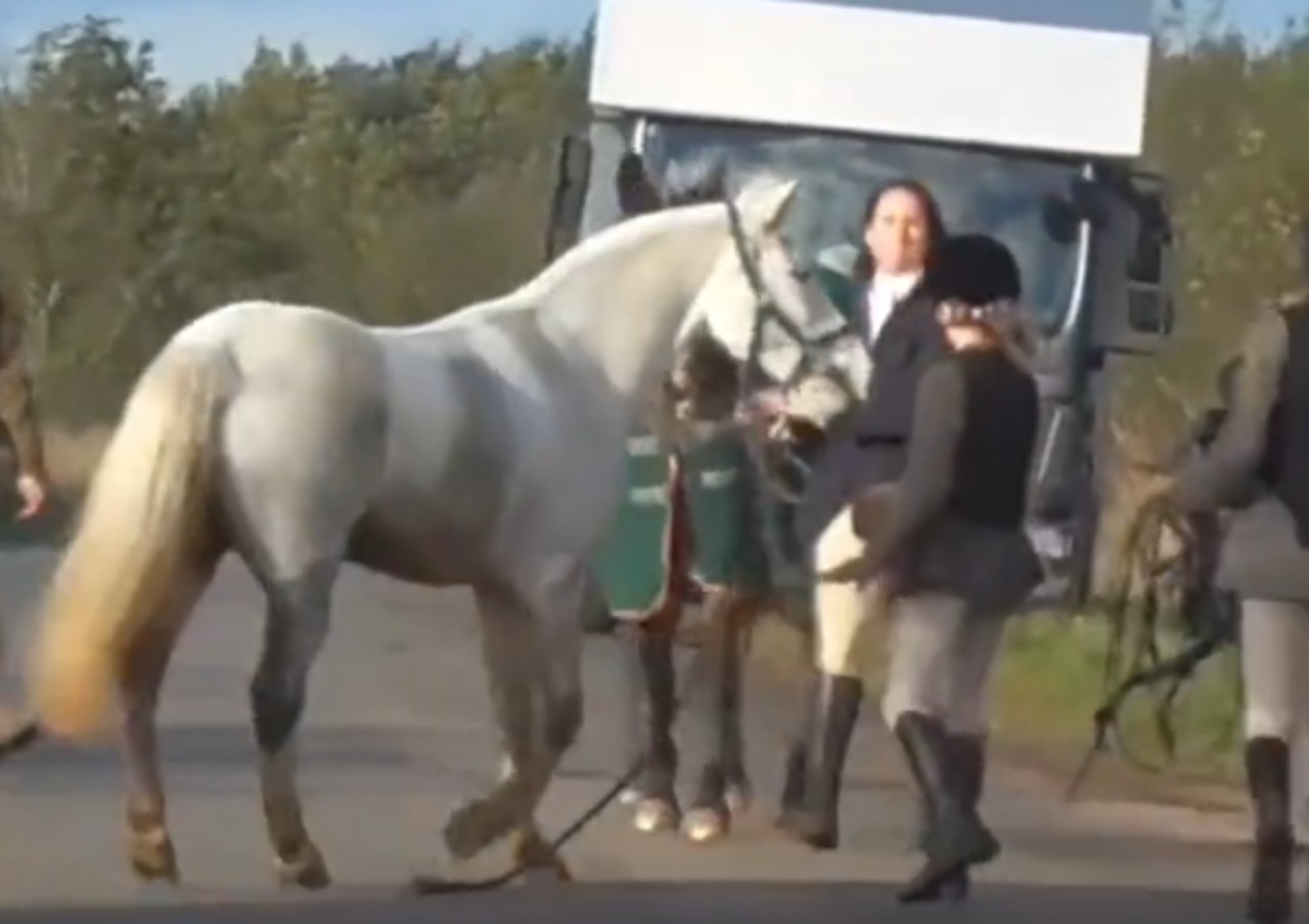 Maestra patea un caballo y causa indignación en Inglaterra