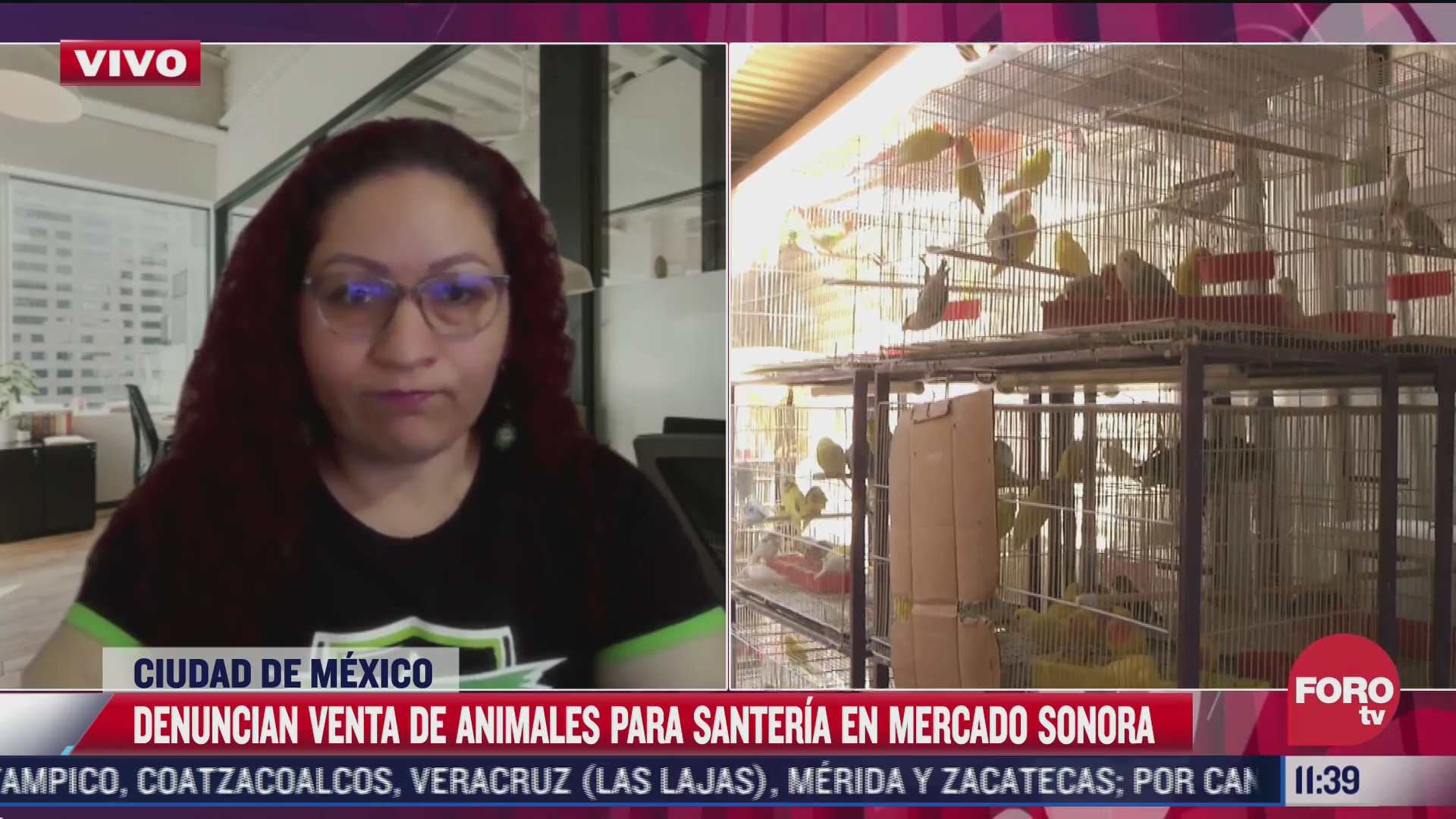 animales del mercado de sonora viven en malas condiciones dice activista