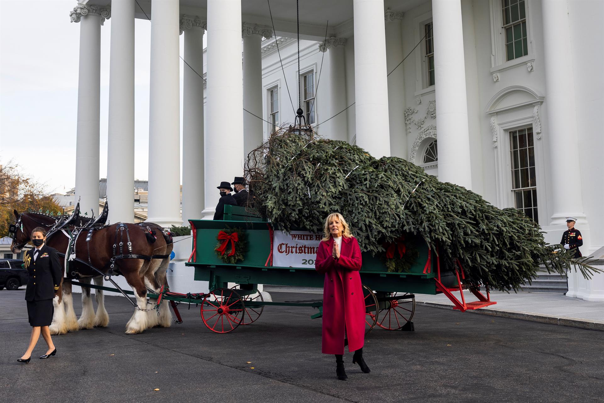 La primera dama de EEUU Jill Biden recibe el árbol de Navidad oficial de la Casa Blanca de 2021(EFE)