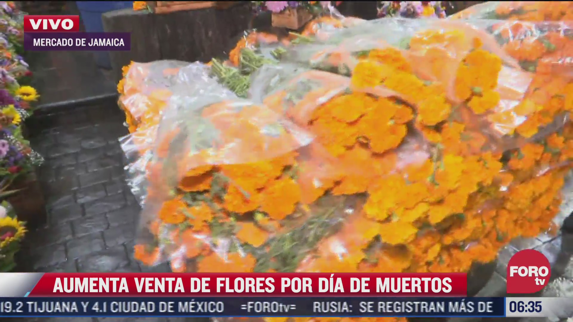 aumenta venta de flores por dia de muertos en cdmx