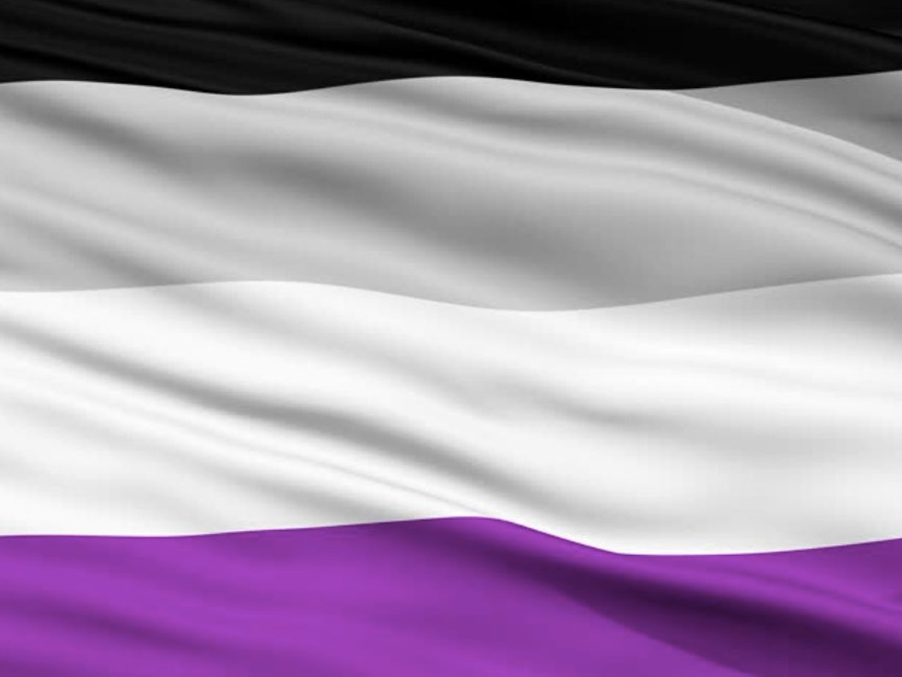 Asexual, cuál es su bandera