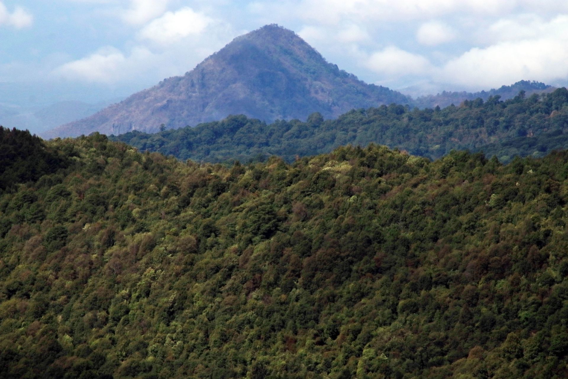 México se suma al pacto de COP26 para detener deforestación