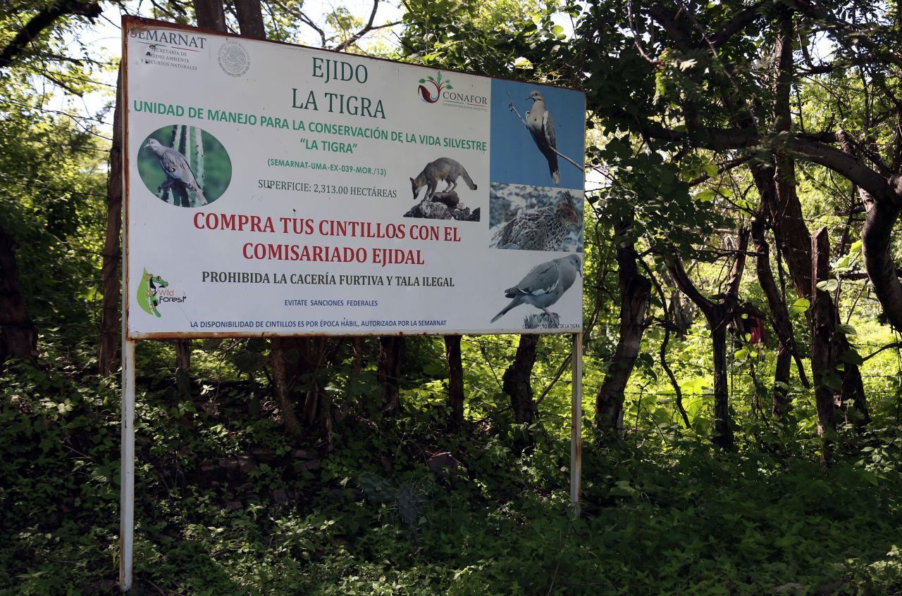 Un letrero informa donde comprar los cintillos para realizar caza deportiva en el ejido de la Tigra en la Sierra de Ocotlán entre Morelos y Guerrero (Cuartoscuro)
