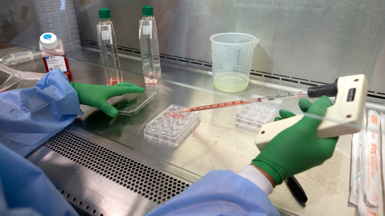 Investigadores británicos identifican los blancos en células T para futuras vacunas contra covid