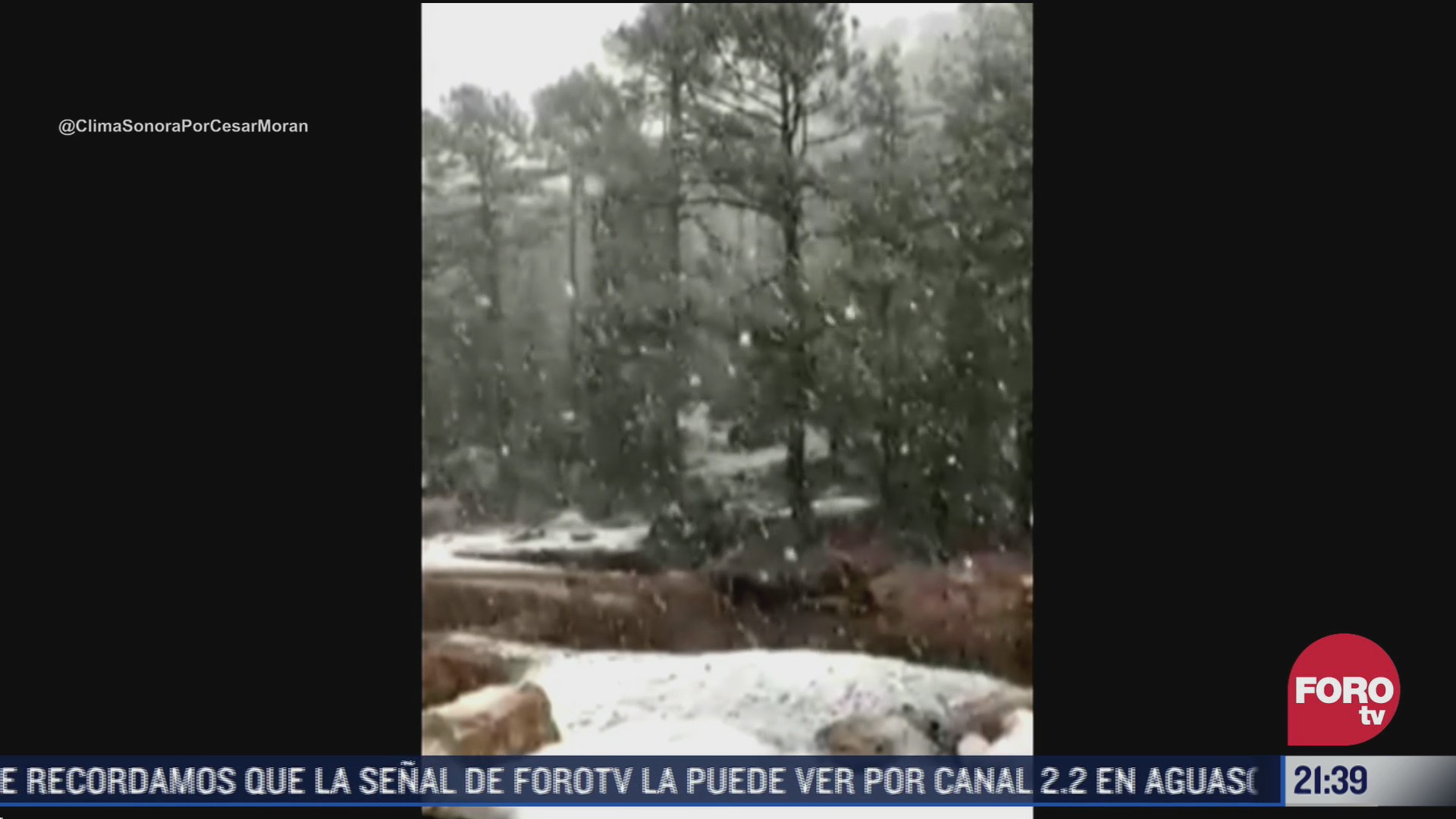 continuaran las temperaturas heladas en chihuahua por tormenta invernal