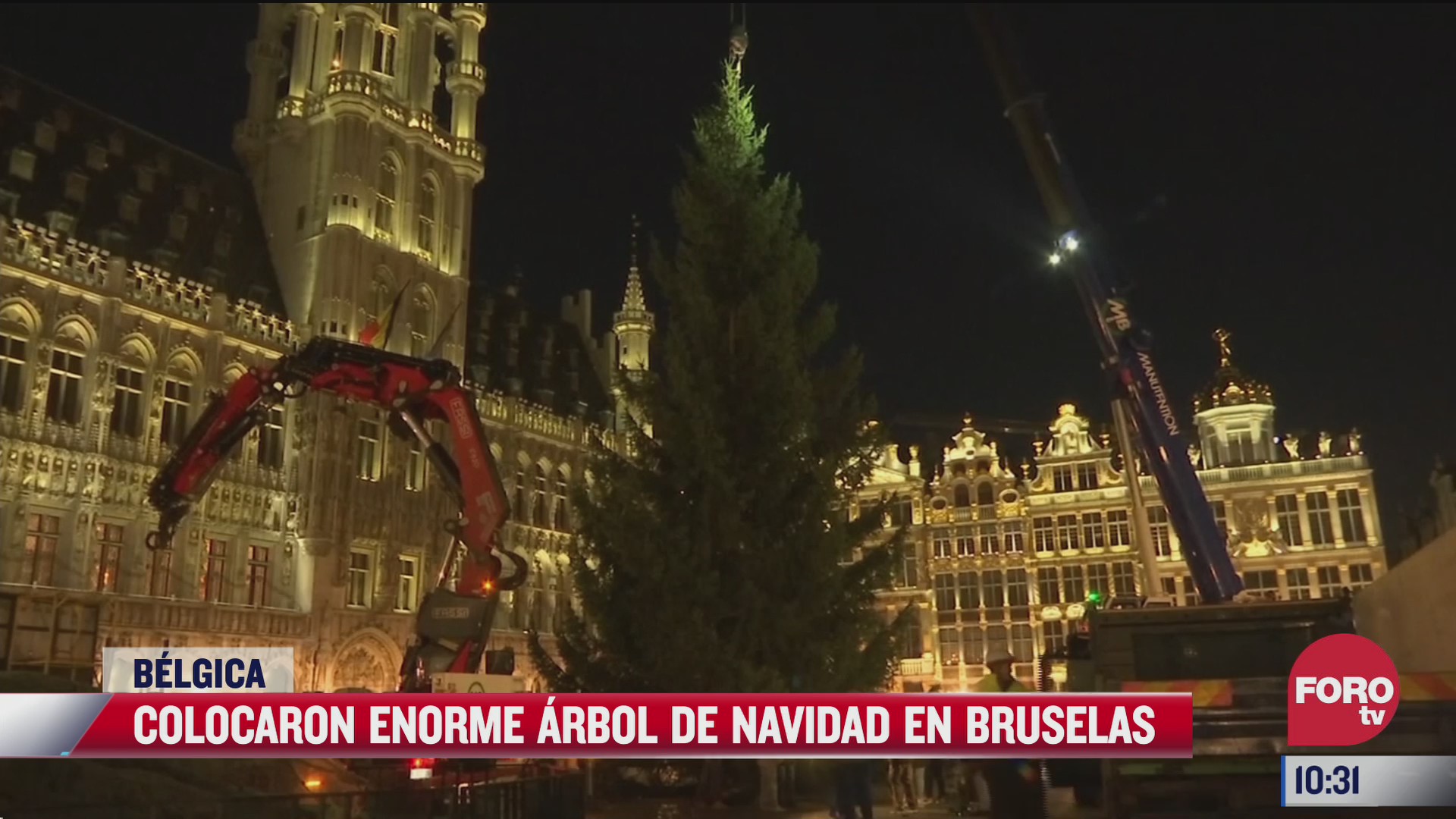 enorme arbol de navidad adorna belgica