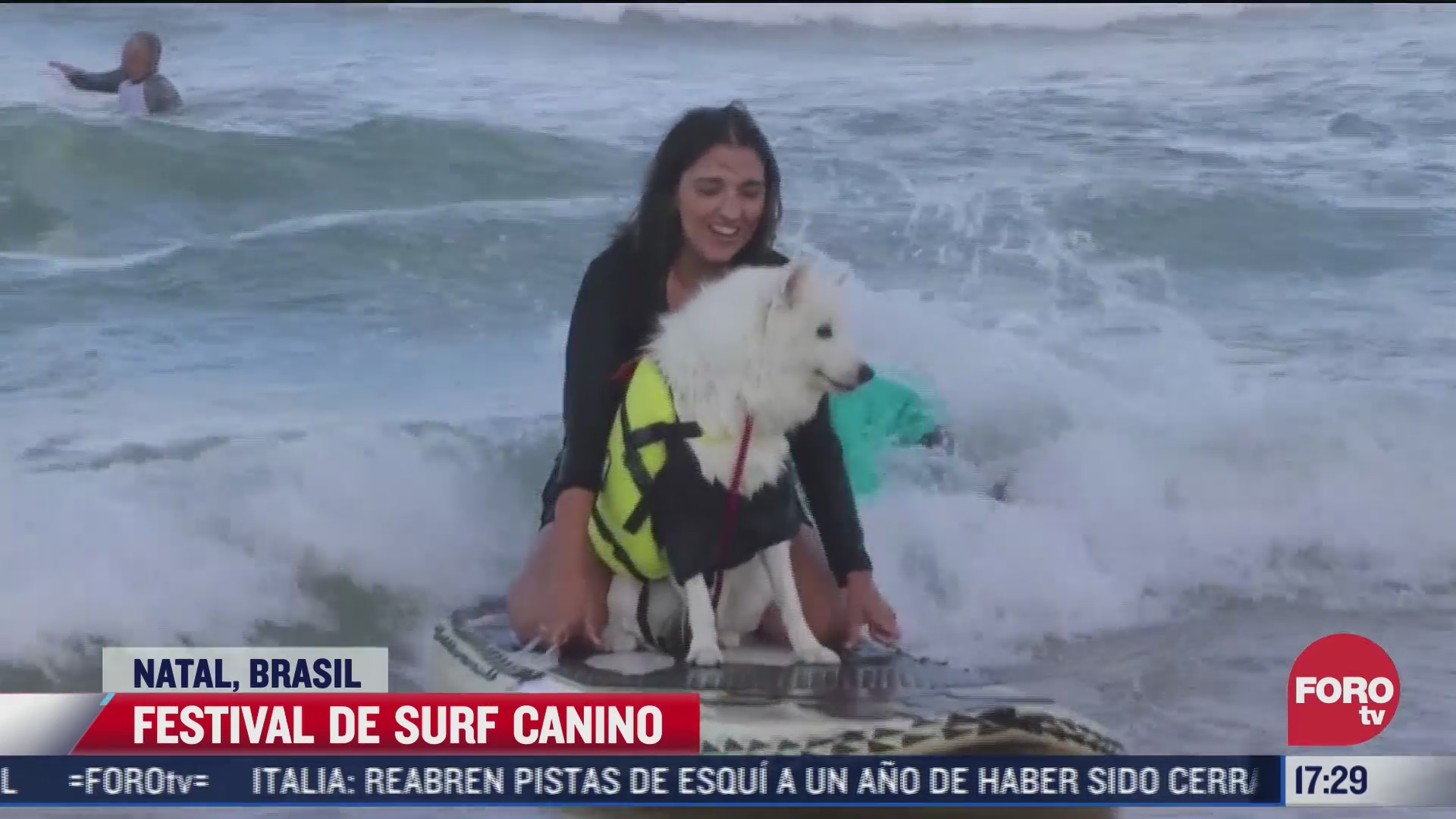 festival de surf canino en natal brasil