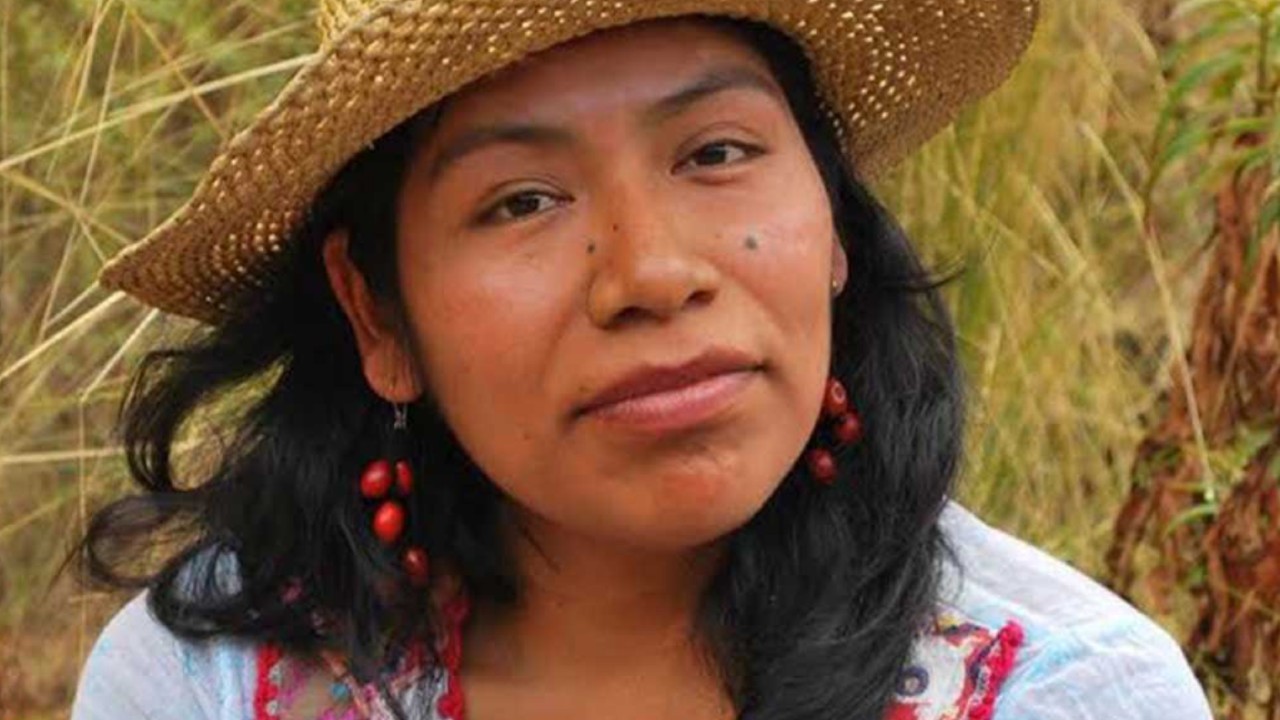 Desaparece Irma Galindo, defensora de los bosques en Oaxaca