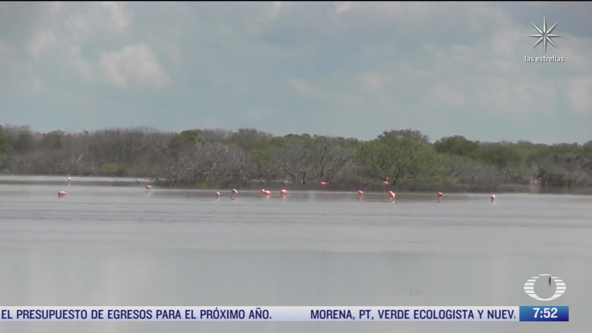 la reserva zona cero da una segunda oportunidad a algunas especies en yucatan