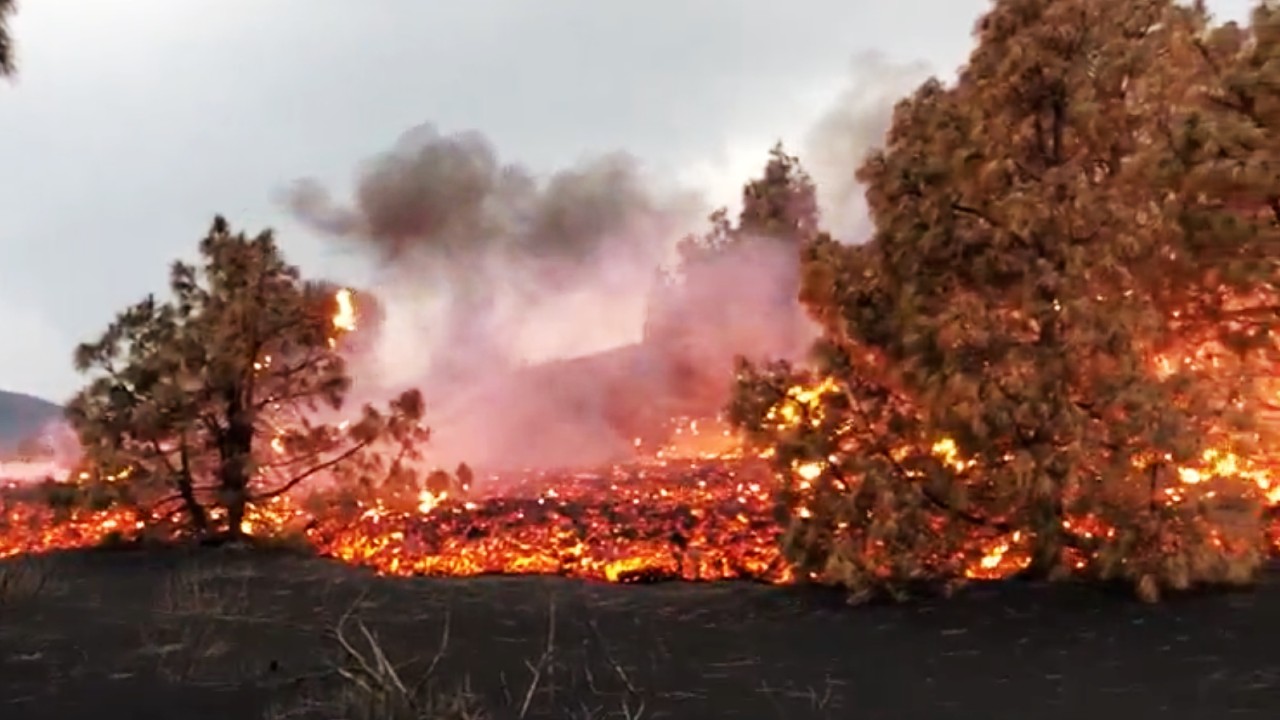 Nuevo río de lava del volcán de La Palma destruye todo lo que encuentra a su paso