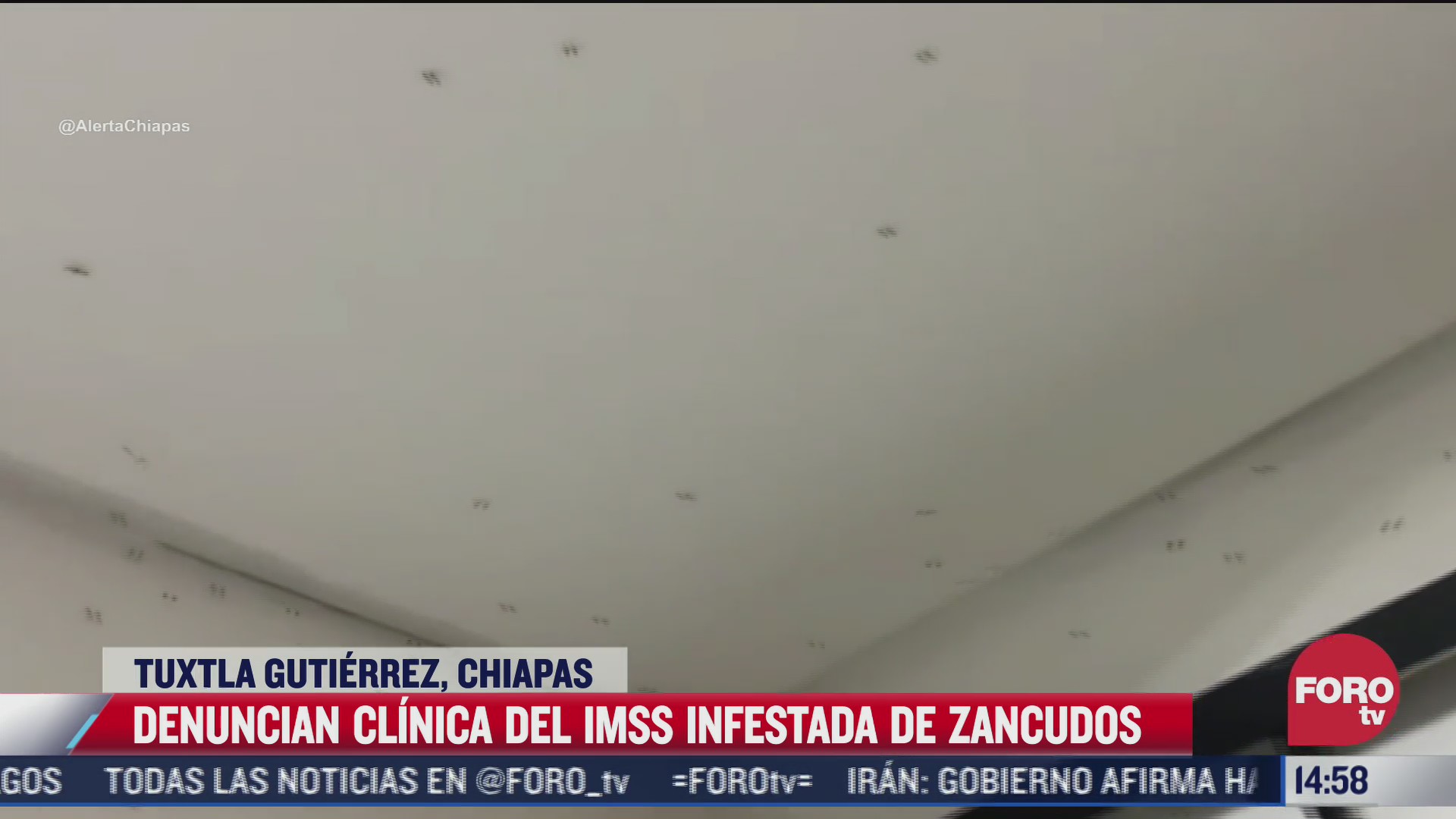 moscos invaden una clinica de chiapas