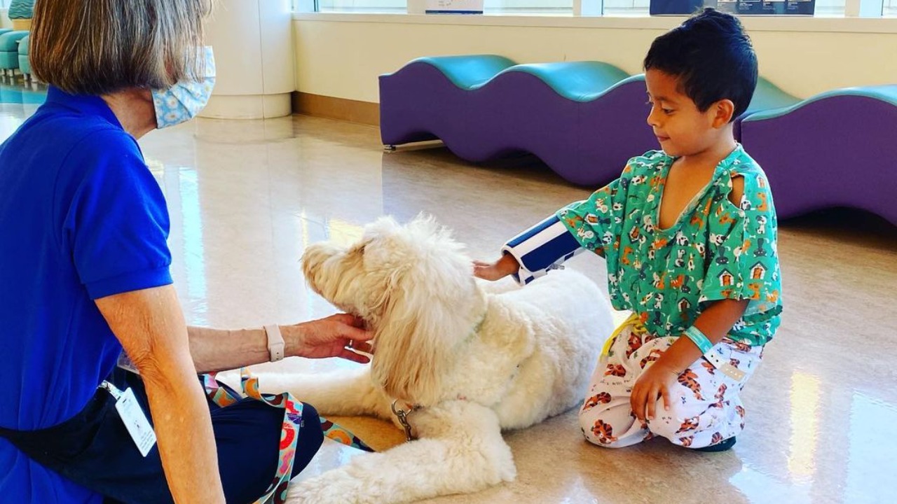 Perro Ollie ayuda a que niños reciban vacuna covid en California, Estados Unidos
