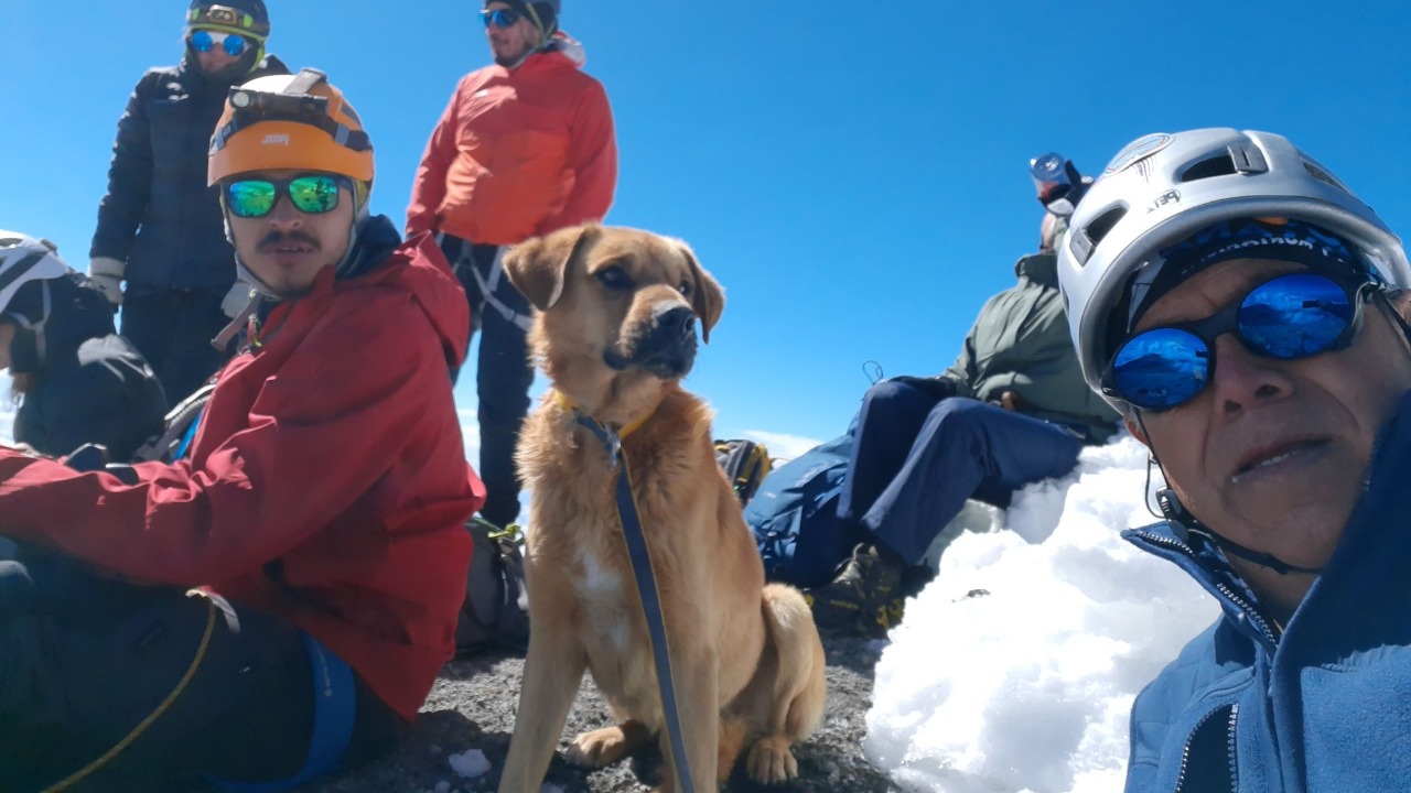 Rescate de Canelo, perro que estuvo en el Pico de Orizaba