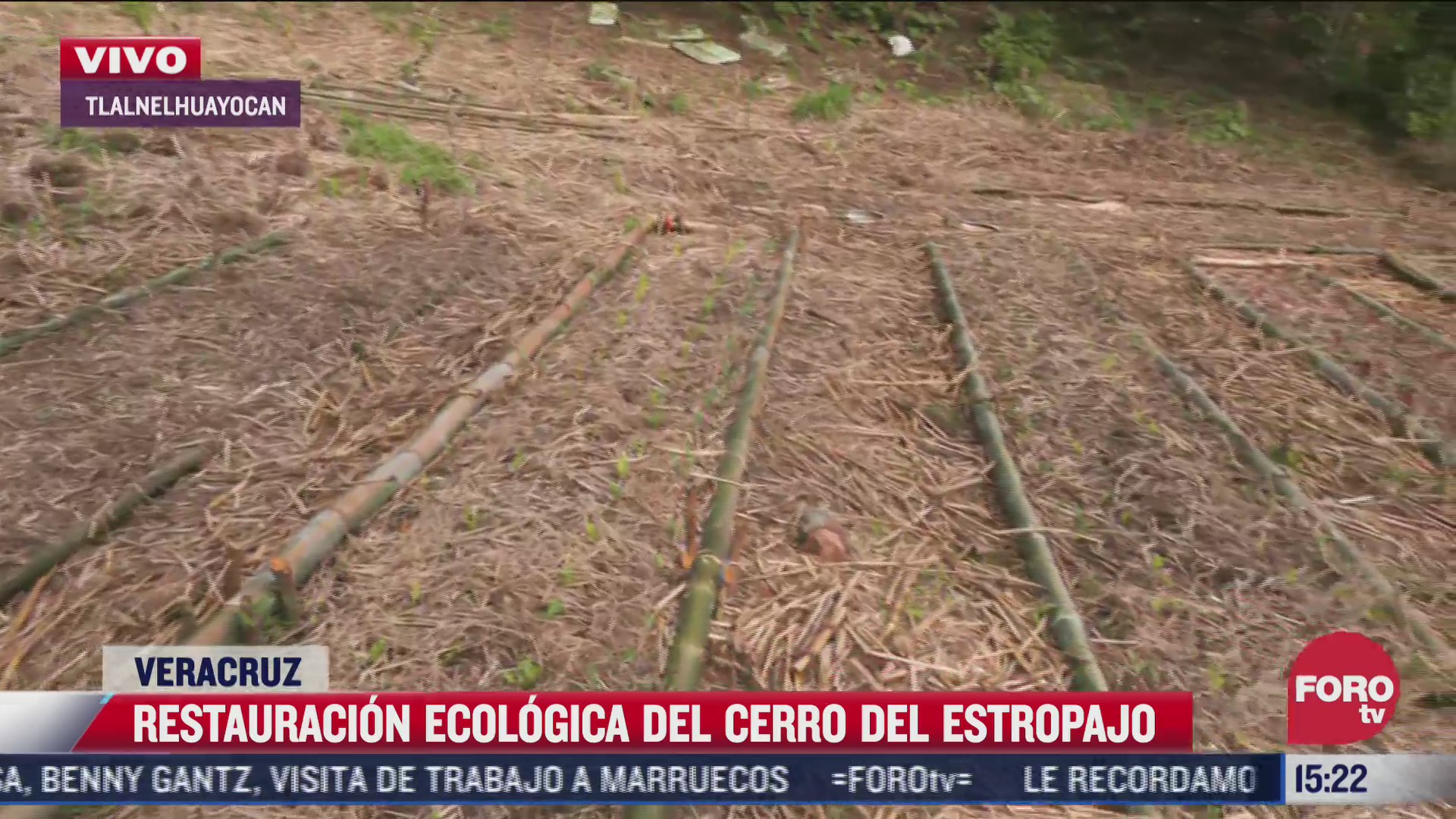 restauracion ecologica del cerro del estropajo en veracruz