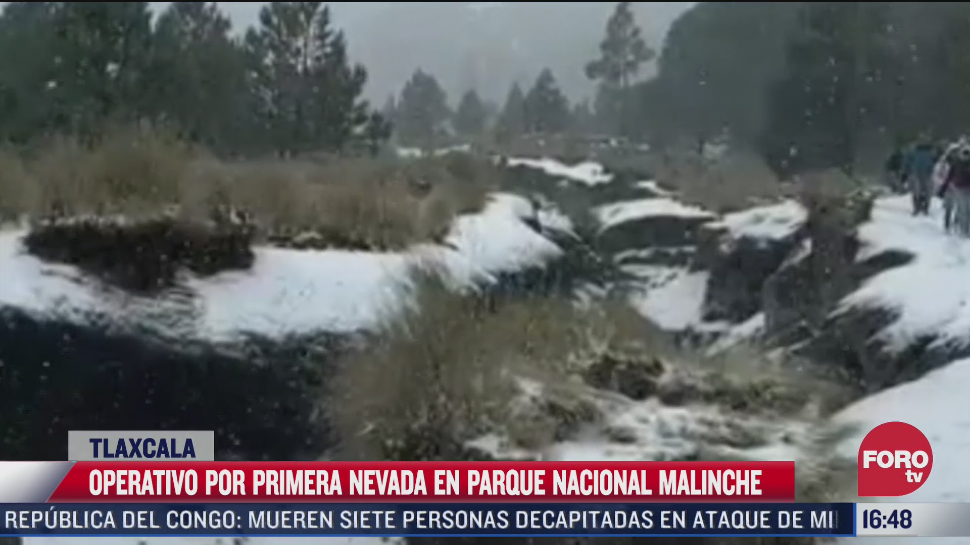 se registra la primera nevada en el parque nacional la malinche en tlaxcala