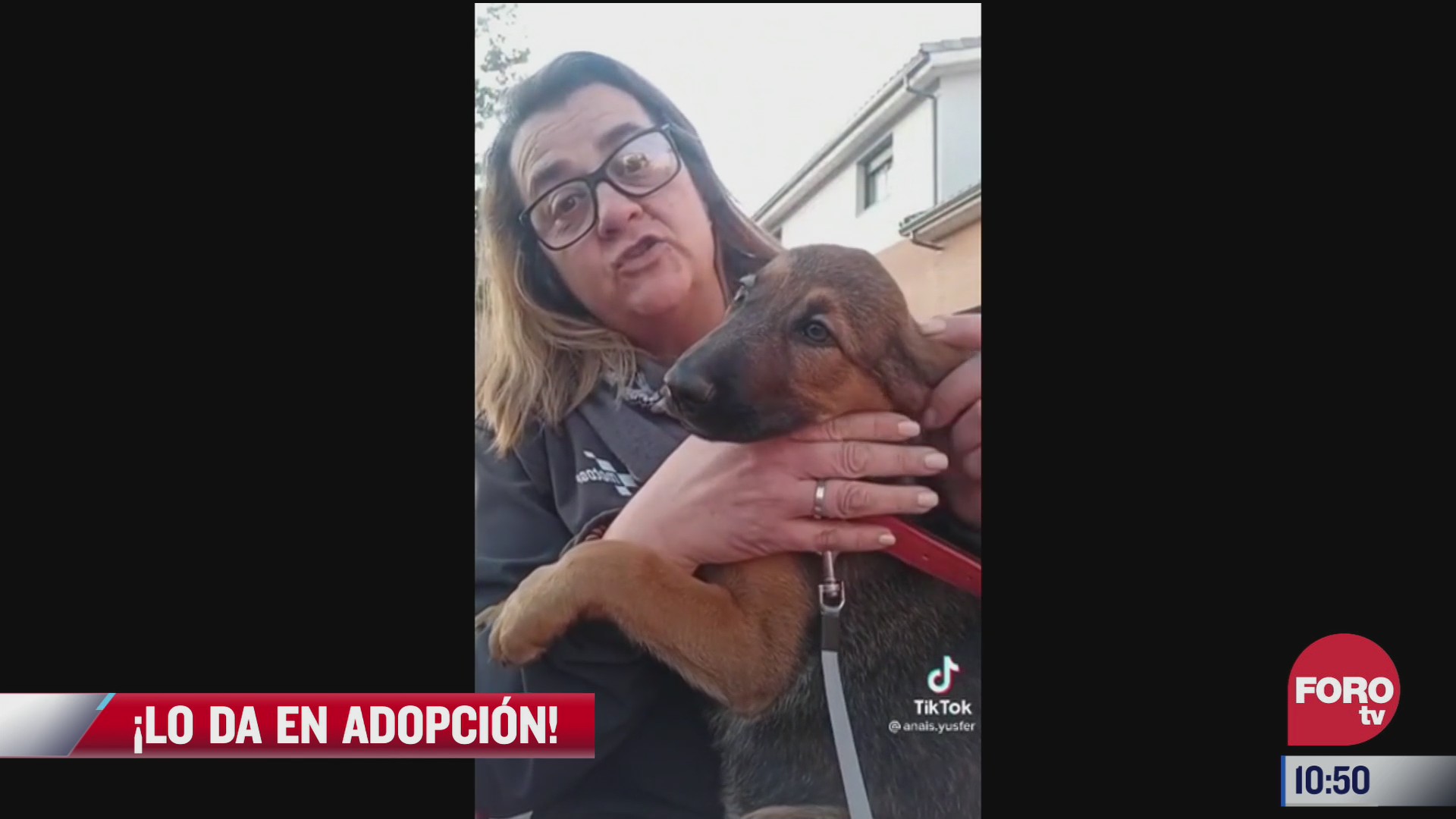 senora adopta a un perrito y da en adopcion a su esposo