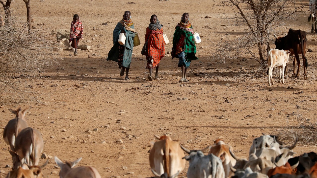 Somalia declara el 'estado de emergencia humanitaria' por la sequía