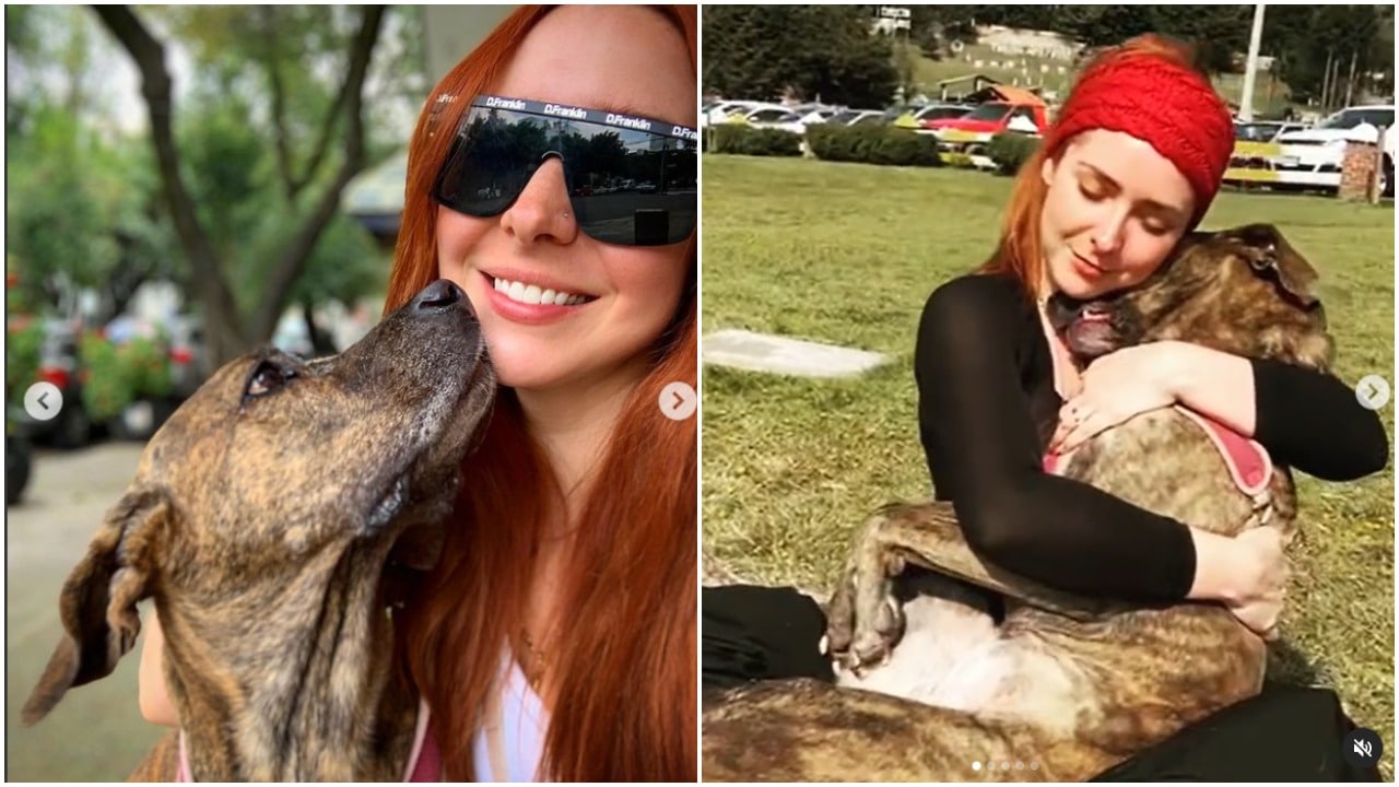 Ariadne Díaz, perro, actriz, accidente, Instagram