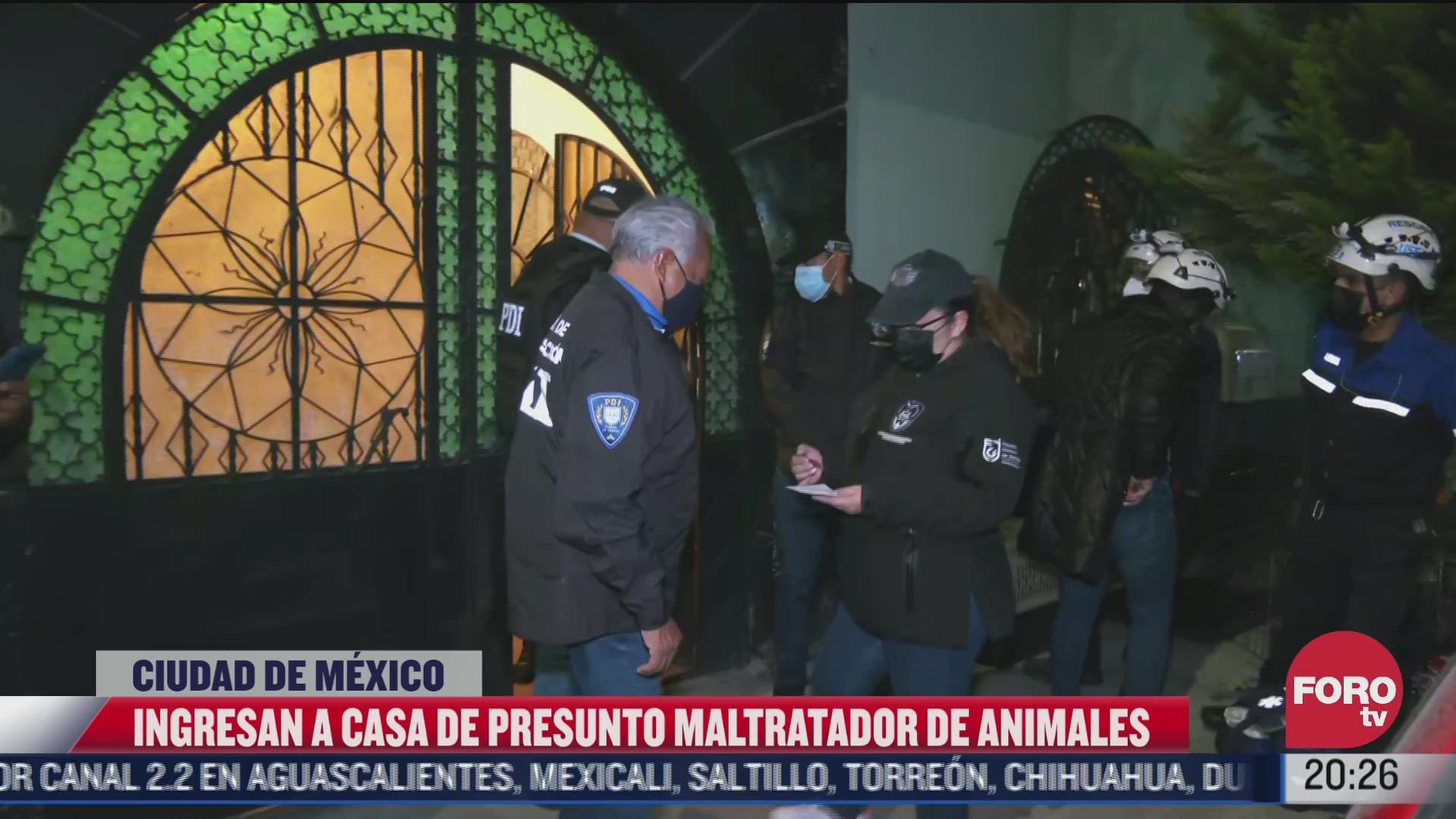 autoridades entran a domicilio en la colonia villa de cortes por presunto maltrato animal