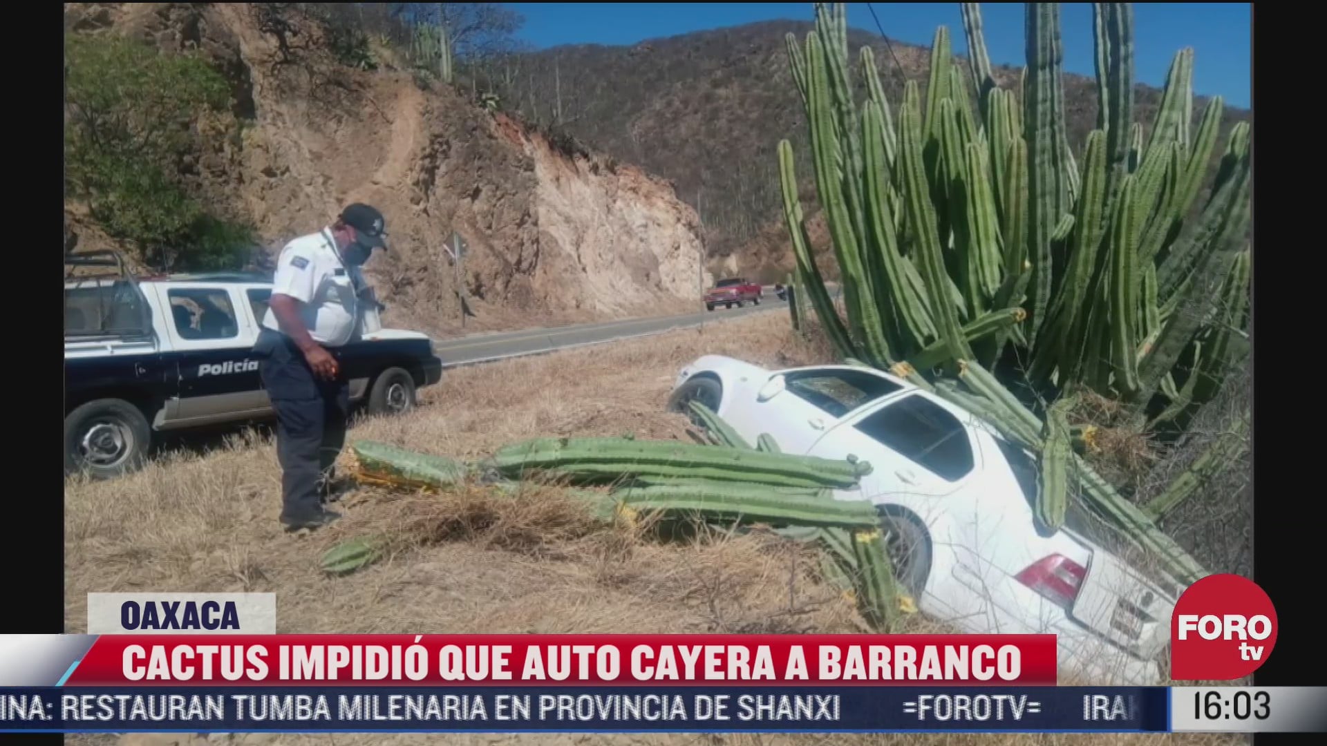 cactus evita que auto se vaya a un barranco en oaxaca