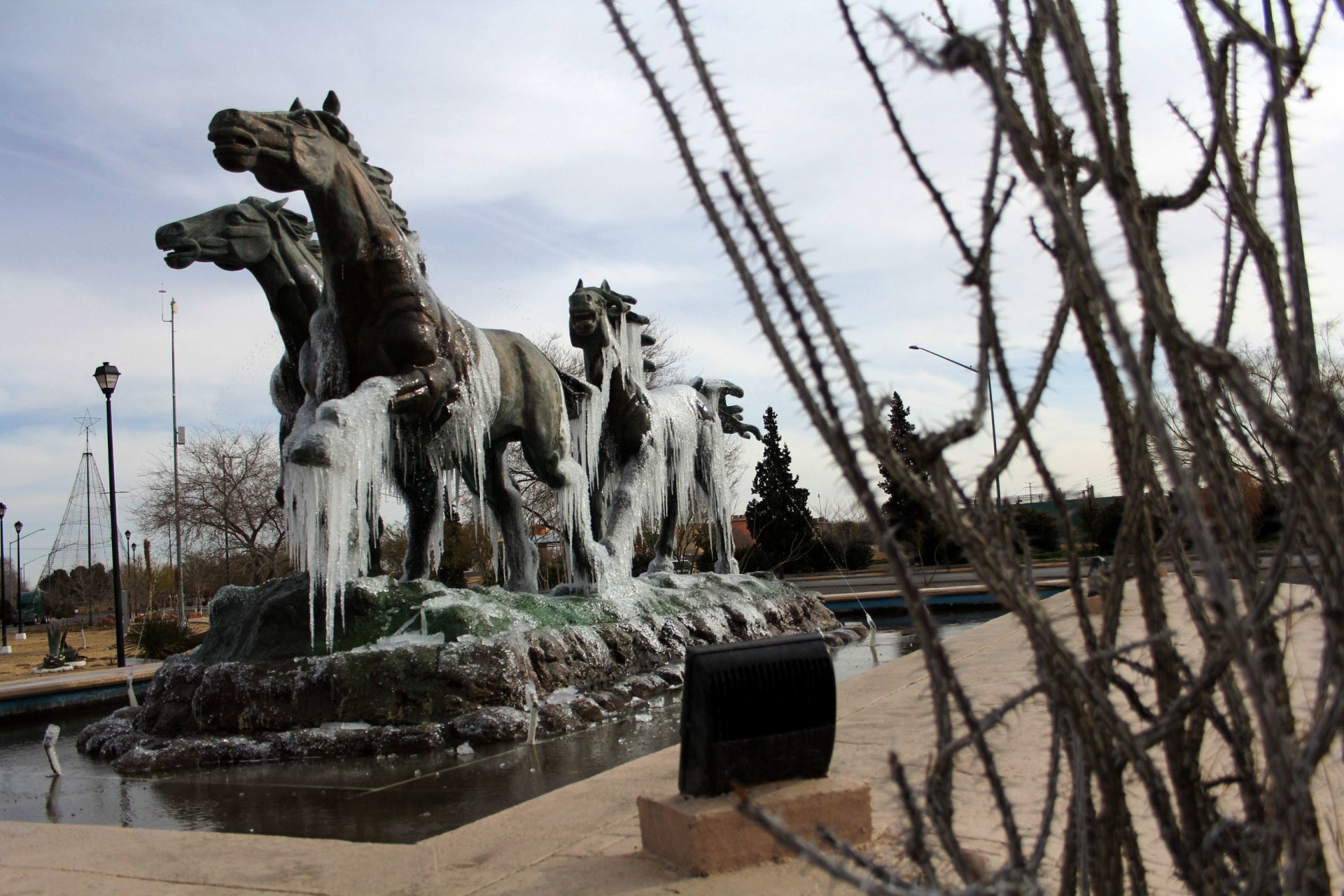 Frente frío número 13 provoca bajas temperaturas en Sonora y Chihuahua