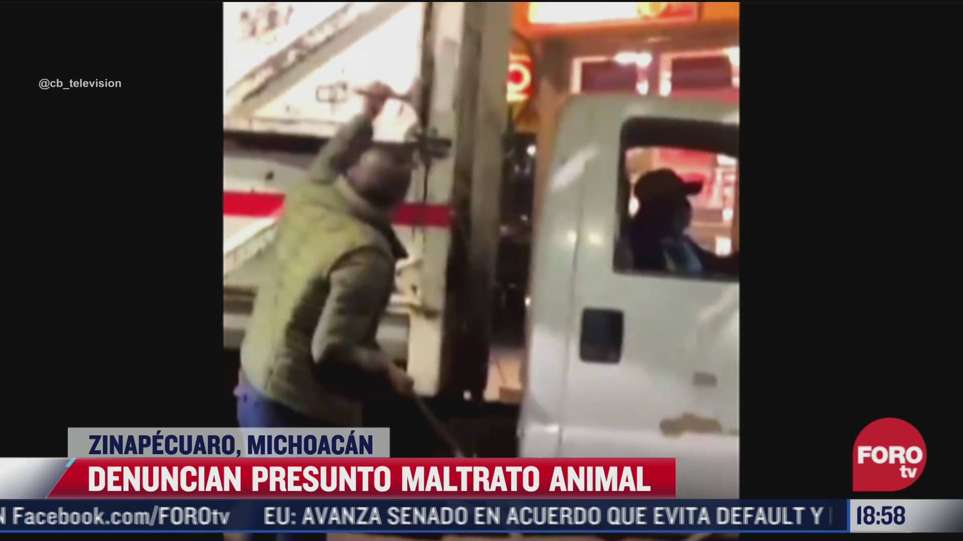 denuncian maltrato animal en zinapecuaro michoacan