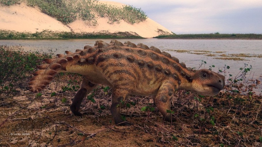 Presentan en Chile al Stegouros elengassen, extraño dinosaurio con cola en forma de garrote