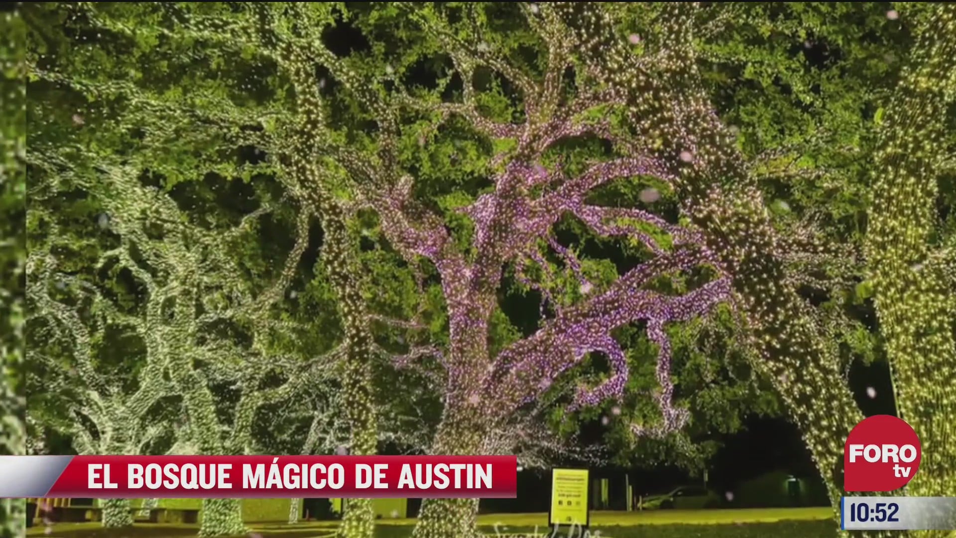 el bosque magico de austin texas