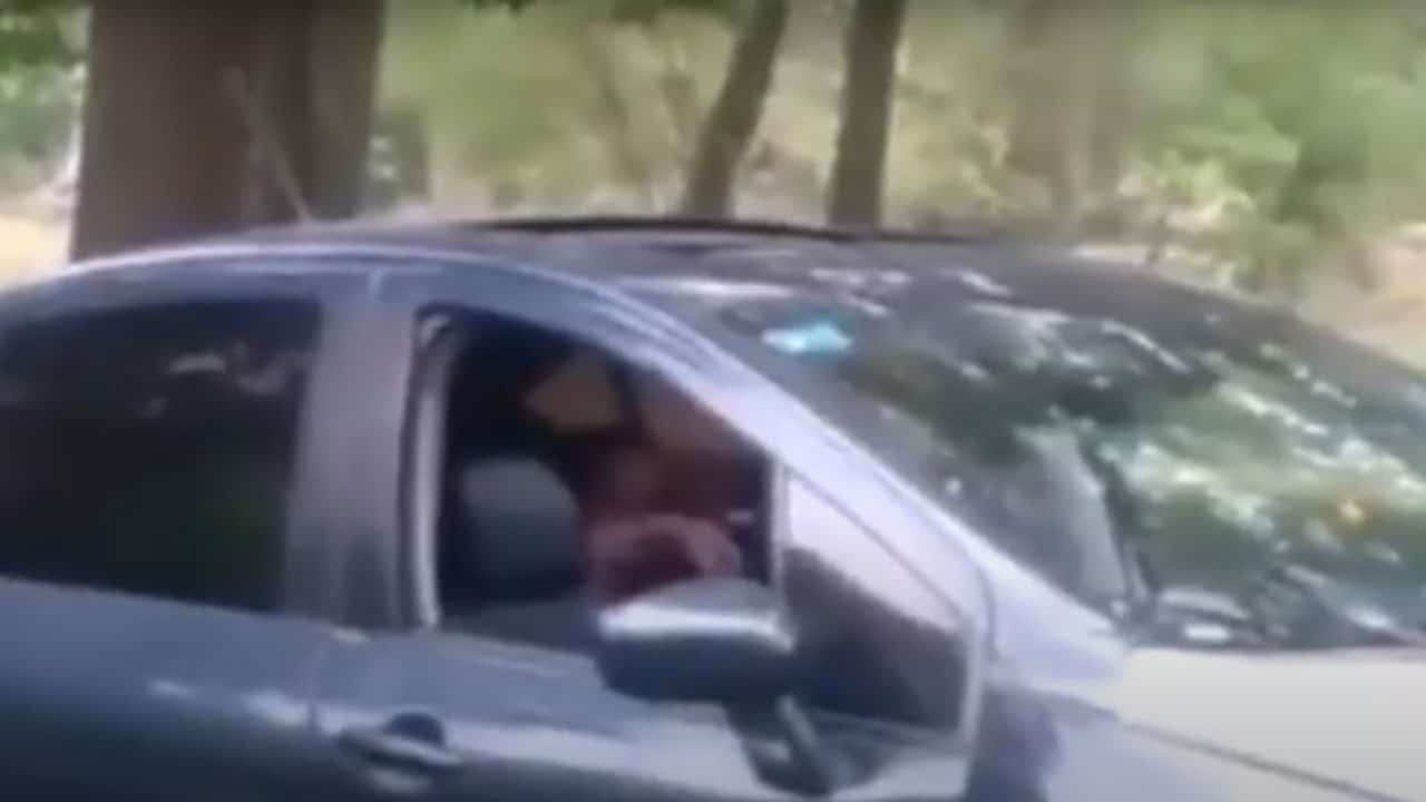 Madre saca sus hijos del auto para tener relaciones sexuales