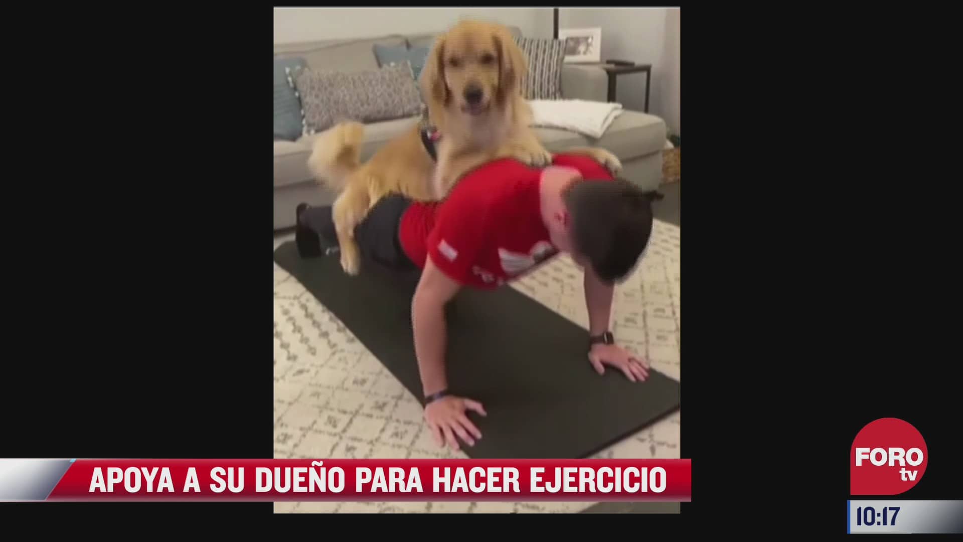 perrito motiva a su dueno para hacer ejercicio